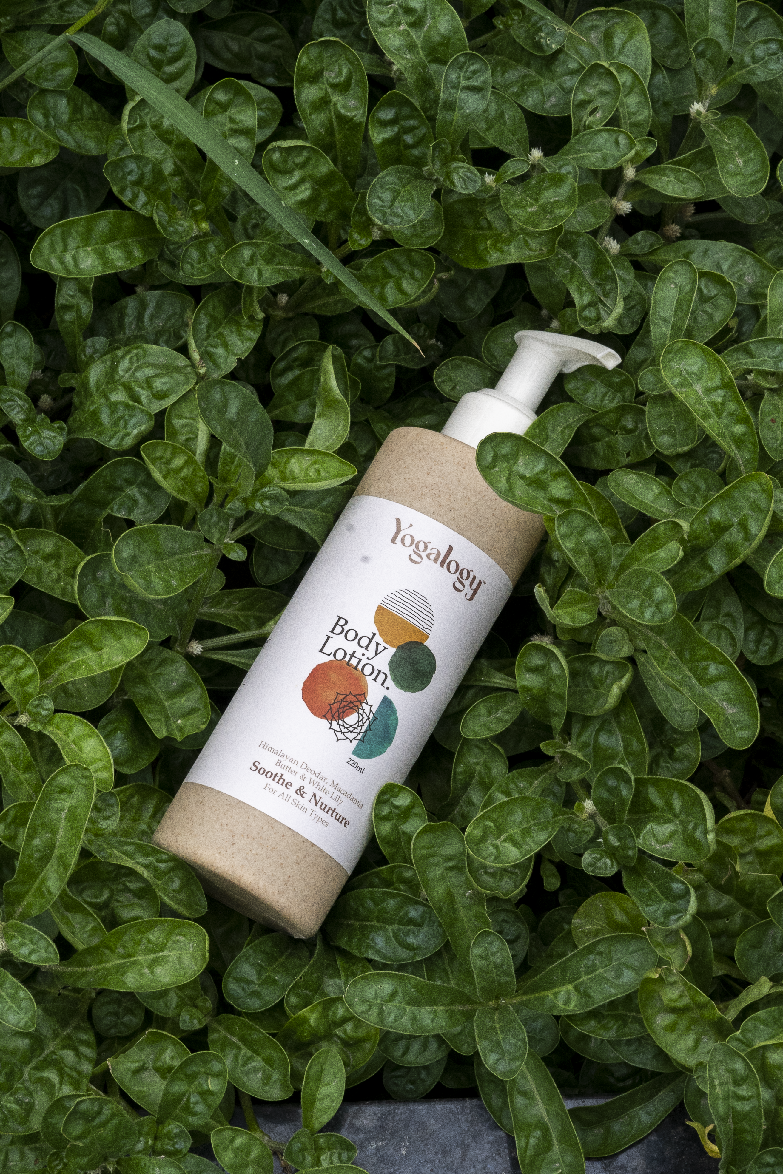 Yogalogy Soothe and Nurture Body Lotion with Himalayan Deodar, Macadamia Butter and White Lily